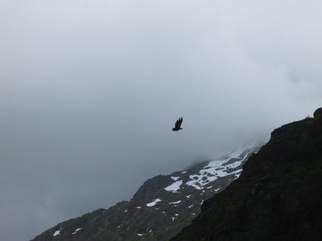 Hurtigruten_2015-06-25_16-28-1